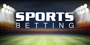 Everything You Need to Know About Slot Machines 4 Everything You Need to Know About Slot Machines 4